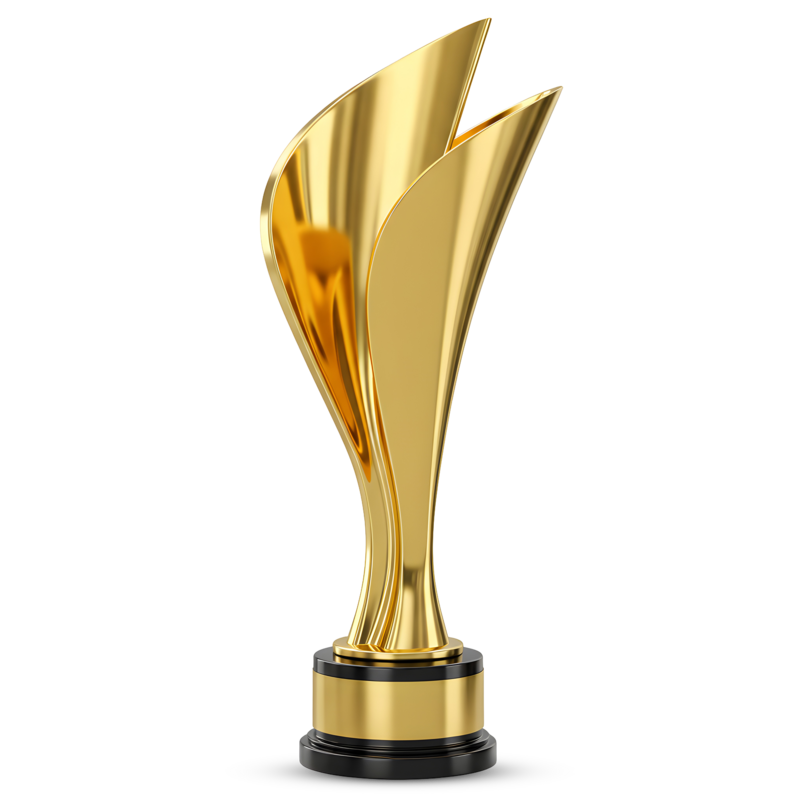 2010 - Lorem ipsum dolor sit amet